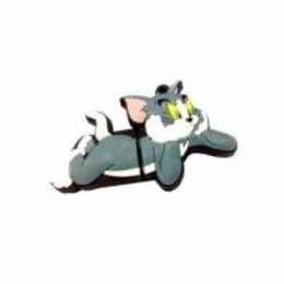 Оригинальная подарочная флешка Present ANIMAL74 04GB (кот Том)