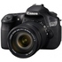 Цифровая зеркальная фотокамера Canon EOS 600D Kit 18-135mm IS