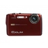 Цифровой фотоаппарат Casio EX-FS10 Red