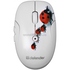 Defender To-GO MS-565 Nano Ladybird