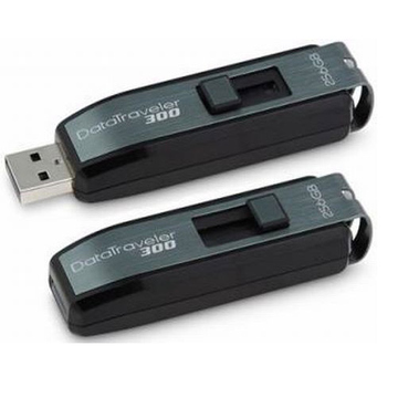  Kingston Data Traveler 300 256 ГБ