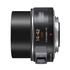 Panasonic 14-42mm F/3.5-5.6 Lumix G X VARIO Black