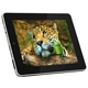 Планшетный компьютер iconBIT NetTAB Rune 08GB (USB, Wi-Fi, Bluetooth, microSDHC, Android 2.3)