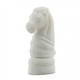 Оригинальная подарочная флешка Present ORIG180 256GB White (шахматный конь)